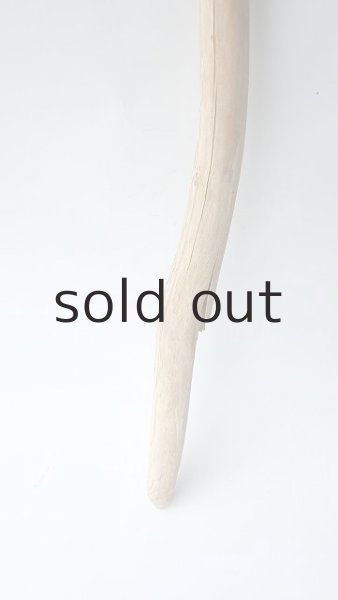 画像2: 棒流木 (2)