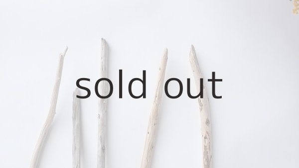 画像4: 棒流木セット (4)