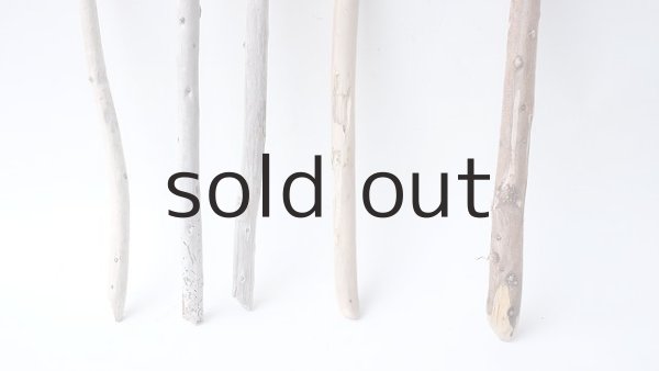 画像2: 棒流木セット (2)