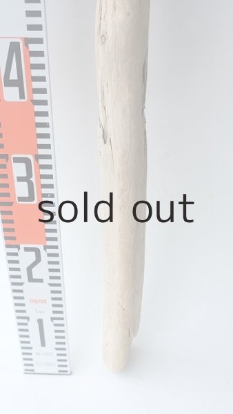 画像4: 棒流木 (4)