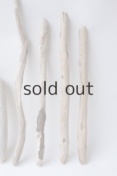 画像6: 棒流木セット (6)