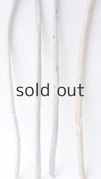 画像5: 棒流木セット (5)