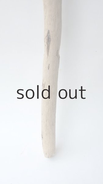 画像2: 棒流木 (2)