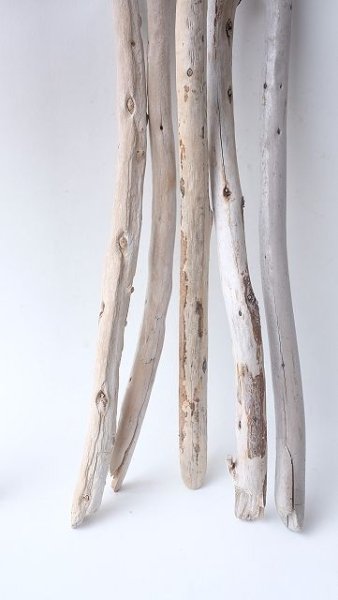 画像5: 棒流木セット (5)