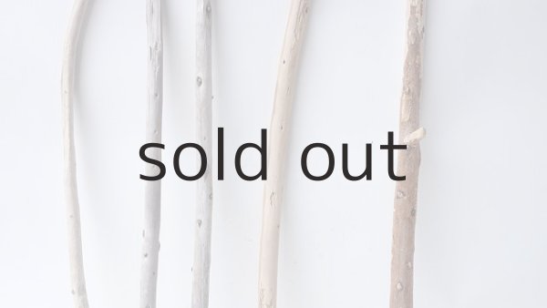 画像3: 棒流木セット (3)