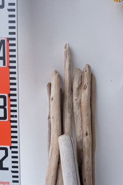 画像2: 棒流木セット