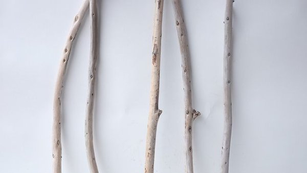 画像3: 棒流木セット (3)