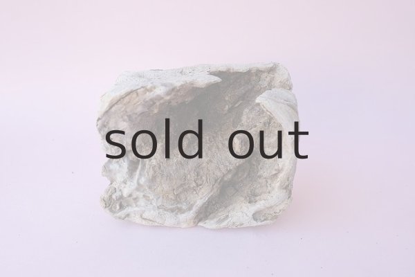 画像5: 変形流木 (5)