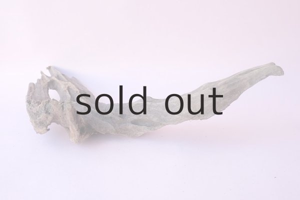 画像5: 変形流木 (5)