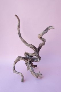 飾り根　流木根　飾り台共　オブジェ 飾り根 流木根 飾り台共 オブジェ 2025年最新】Yahoo
