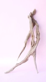 変形・その他流木 - 流木素材市場 阿波遊木