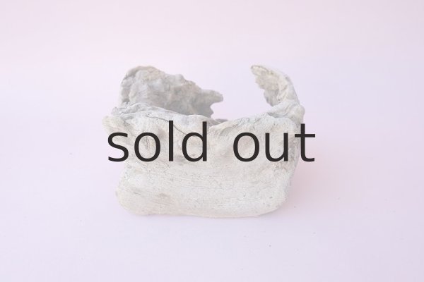 画像4: 変形流木 (4)