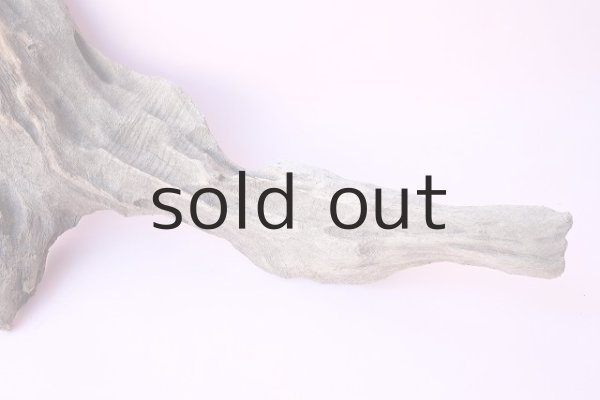 画像3: 変形流木 (3)