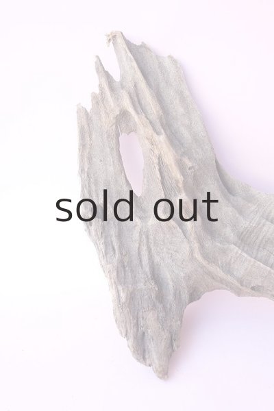 画像2: 変形流木 (2)