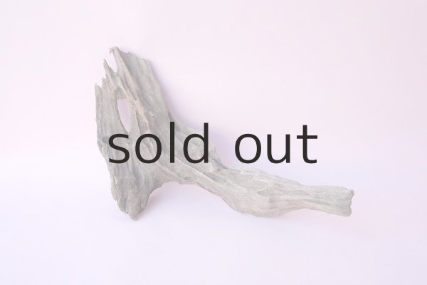 画像1: 変形流木 (1)