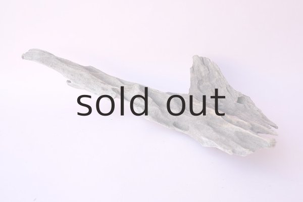 画像4: 変形流木 (4)