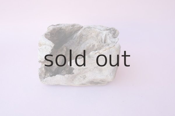 画像3: 変形流木 (3)