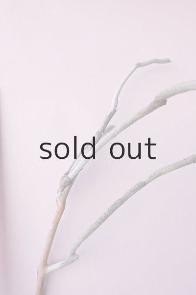 画像7: 枝流木 (7)