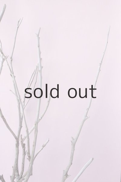 画像6: 枝流木・大型 (6)