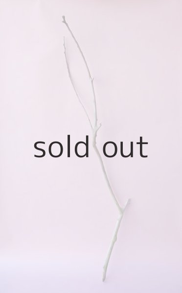 画像1: 枝流木 (1)