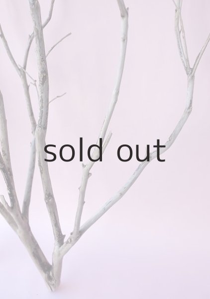 画像9: 枝流木・大型 (9)