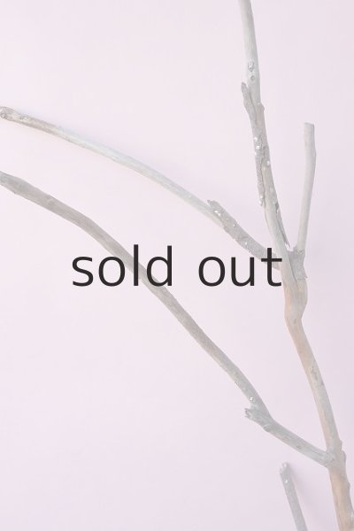 画像6: 枝流木 (6)