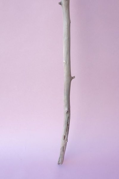 画像2: 枝流木 (2)