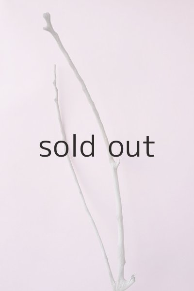 画像4: 枝流木 (4)