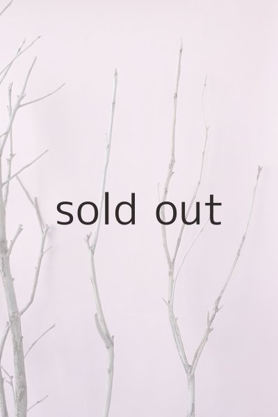 画像8: 枝流木・大型 (8)