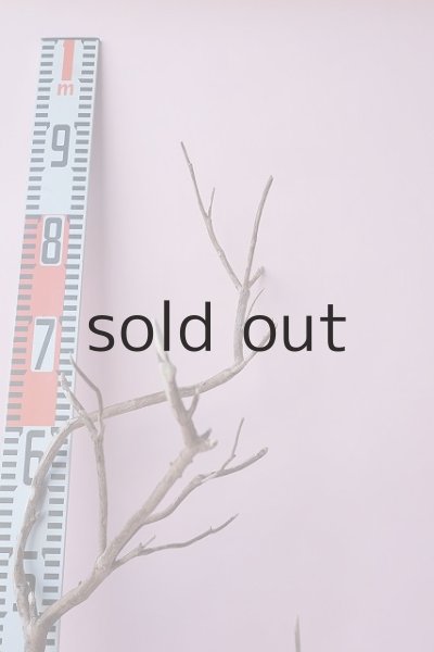 画像7: 枝流木 (7)