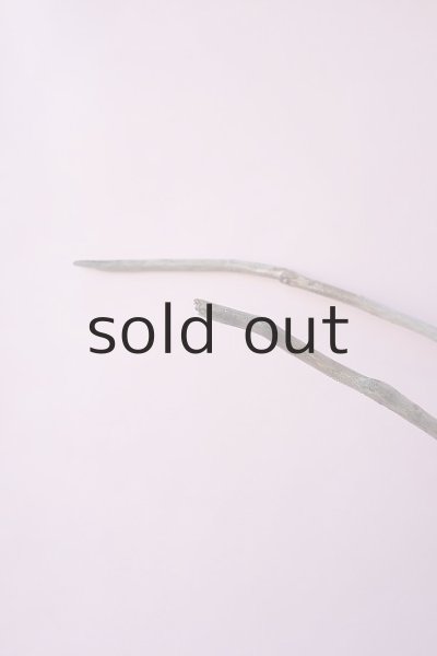 画像5: 枝流木 (5)