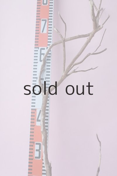 画像6: 枝流木 (6)