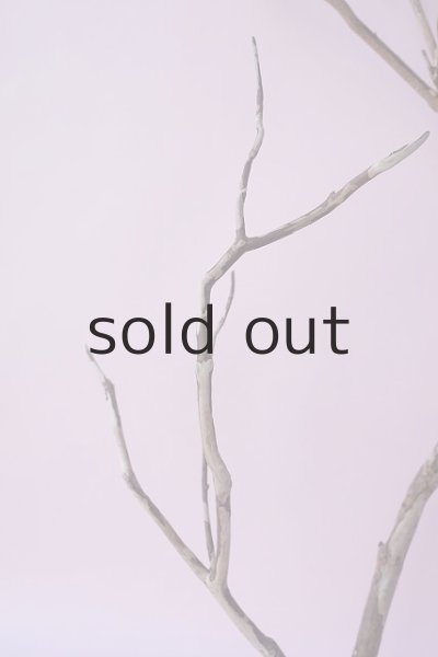 画像3: 枝流木 (3)