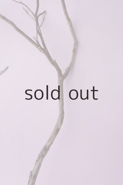 画像4: 枝流木 (4)