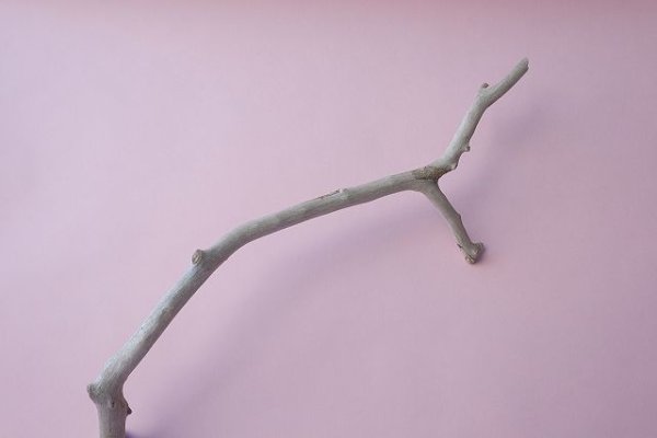 画像4: 枝流木 (4)