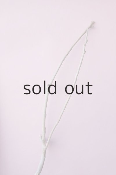 画像5: 枝流木 (5)