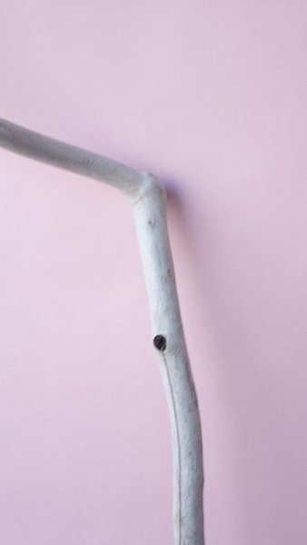 画像3: 枝流木 (3)