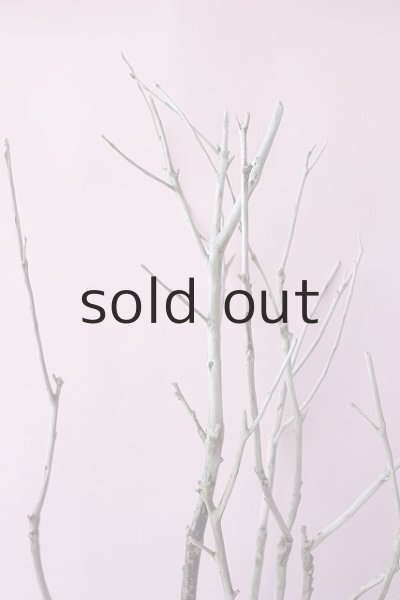 画像5: 枝流木・大型 (5)