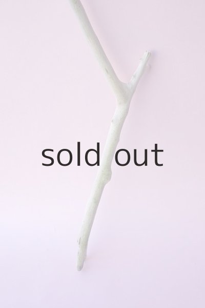 画像2: 枝流木 (2)