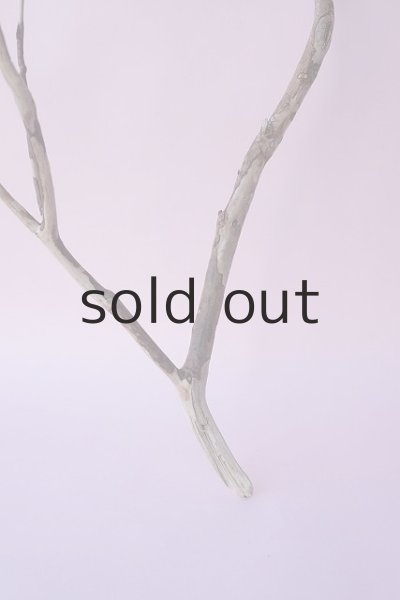 画像2: 枝流木 (2)