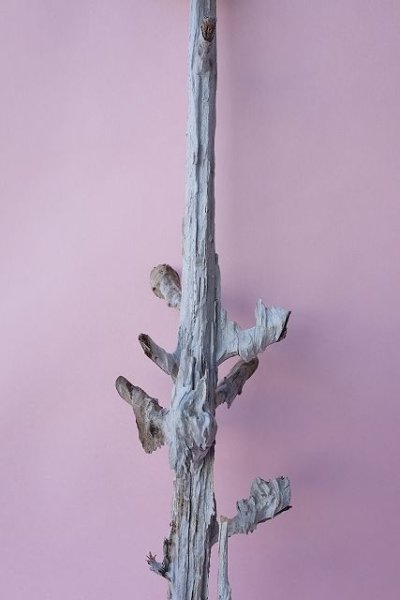 画像4: 枝流木 (4)