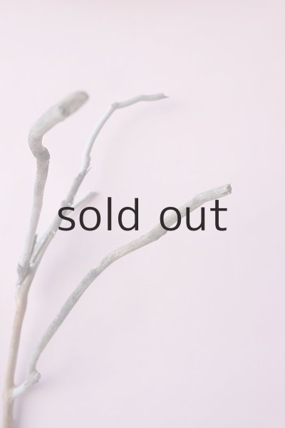 画像8: 枝流木 (8)