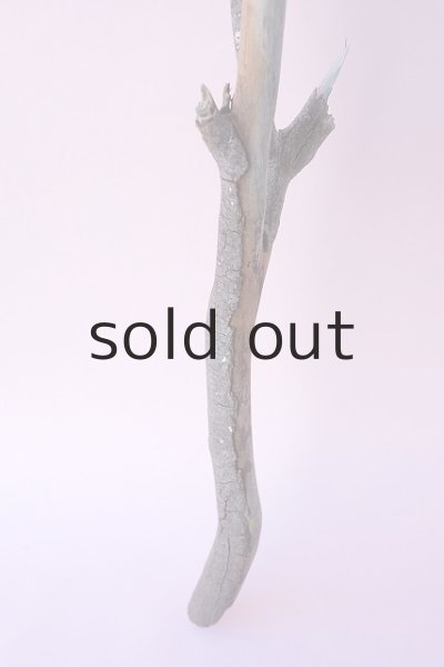 画像2: 枝流木 (2)