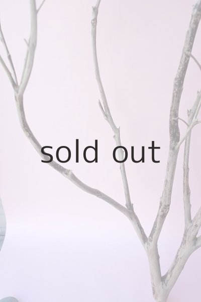 画像3: 枝流木・大型 (3)