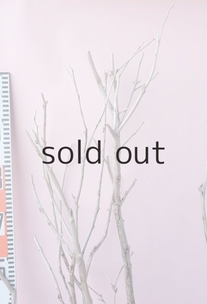 画像7: 枝流木・大型 (7)