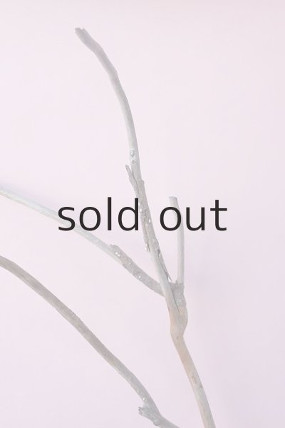 画像4: 枝流木 (4)