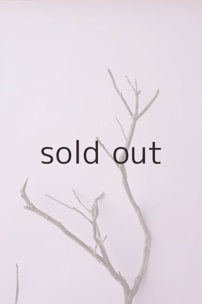 画像5: 枝流木 (5)