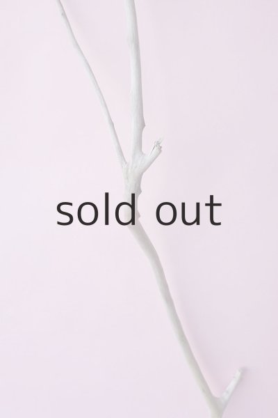 画像3: 枝流木 (3)