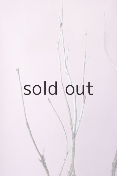 画像4: 枝流木・大型 (4)