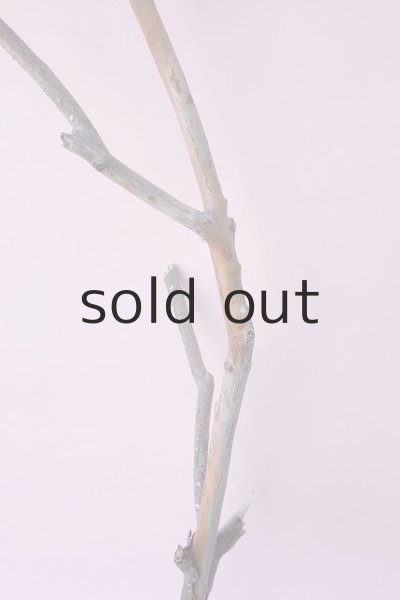 画像3: 枝流木 (3)